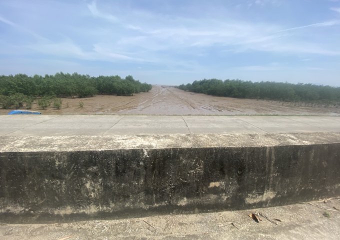 BÁN LÔ ĐẤT MẶT BIỂN TẠI ĐA LỘC, HẬU LỘC, THANH HÓA.