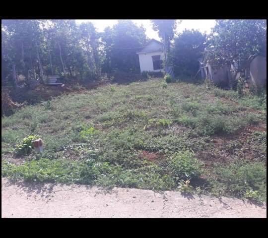 CHÍNH CHỦ BÁN 2 LÔ LIỀN KỀ SIÊU ĐẸP KP9 -TT HỒ XÁ - VĨNH LINH - QUẢNG TRỊ