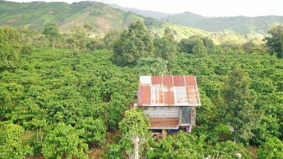 Chính chủ cần bán hơn 100m đất bám mặt suối, tại Suối Đá, Đăk Phơi, huyện Lăk, Đăk Lăk