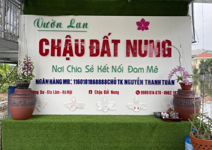 VƯỜN LAN CHẬU ĐẤT NUNG