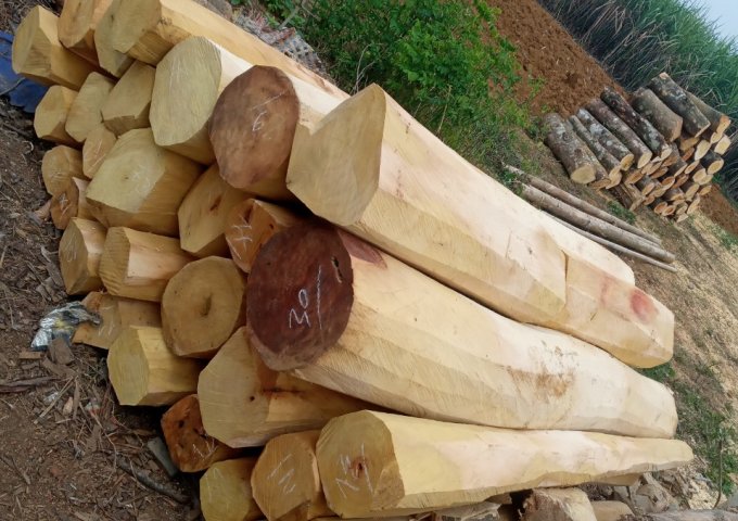 Chuyên cung cấp các loại gỗ: