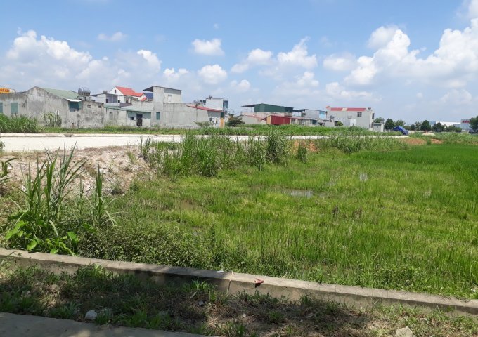  Bán đất nền dự án tại Xã Thọ Nguyên, Thọ Xuân, Thanh Hóa diện tích 170m2 giá 980 Triệu