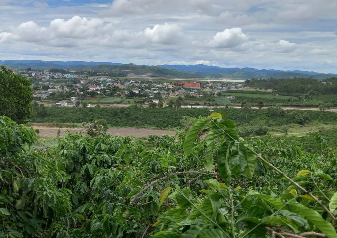 CẦN BÁN GẤP LÔ ĐẤT VIEW CỰC ĐẸP NHÌN KHẮP KHU VỰC ĐẠI NINH, ĐẬP ĐẠI NINH.