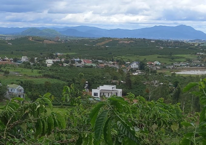 CẦN BÁN GẤP LÔ ĐẤT VIEW CỰC ĐẸP NHÌN KHẮP KHU VỰC ĐẠI NINH, ĐẬP ĐẠI NINH.