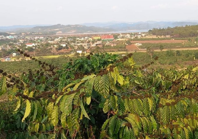 CẦN BÁN GẤP LÔ ĐẤT VIEW CỰC ĐẸP NHÌN KHẮP KHU VỰC ĐẠI NINH, ĐẬP ĐẠI NINH.