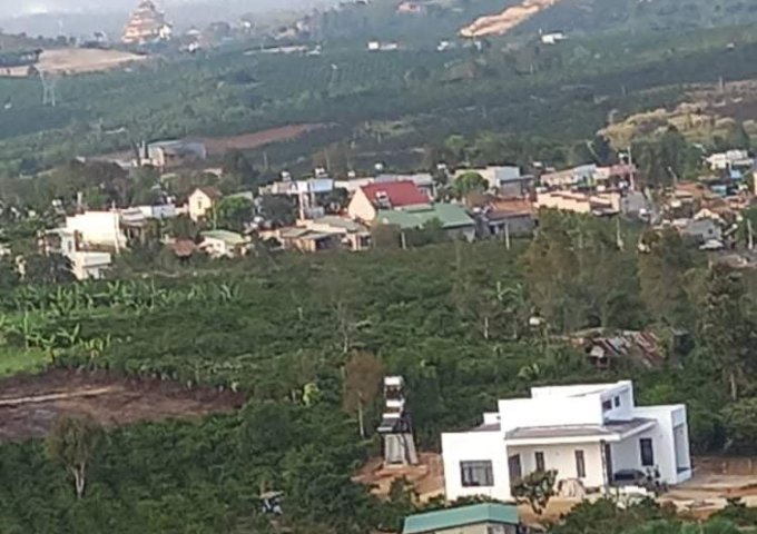 CẦN BÁN GẤP LÔ ĐẤT VIEW CỰC ĐẸP NHÌN KHẮP KHU VỰC ĐẠI NINH, ĐẬP ĐẠI NINH.