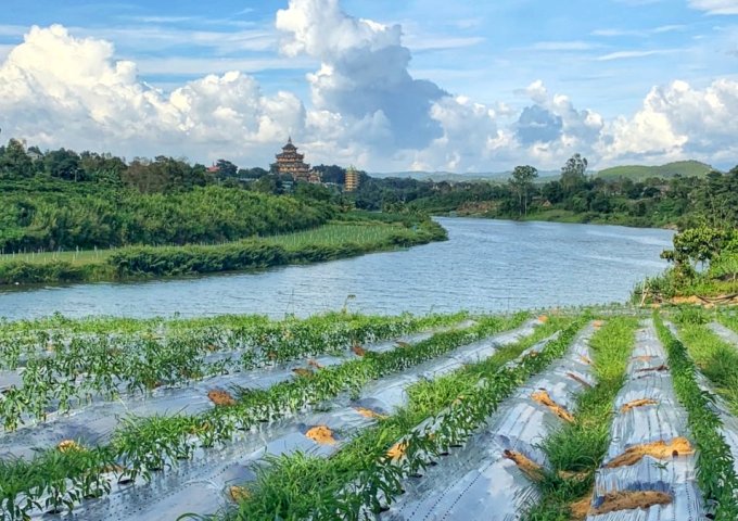 Bán 6.300m2 đất nghỉ dưỡng ôm sông Đa Nhim,xã Ninh Gia,Đức Trọng,Lâm Đồng,giá 6,3 tỷ TL