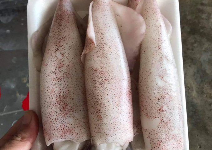 HẢI SẢN HIỀN MÍT XIN KÍNH CHÀO QUÝ KHÁCH HÀNG