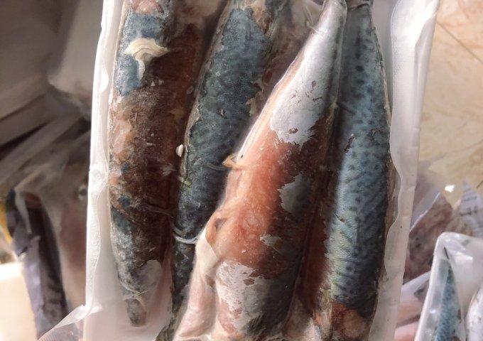 HẢI SẢN HIỀN MÍT XIN KÍNH CHÀO QUÝ KHÁCH HÀNG