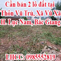Có 2 lô đất cần bán tại địa chỉ Thôn Vũ Trù, Xã Vũ Xã, Huyện Lục Nam, Tỉnh Bắc Giang
