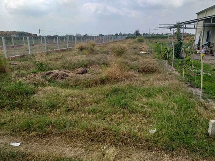 Chính chủ cần bán gấp lô đất tại Thanh Lợi, Thạnh Tân, tp Tây Ninh