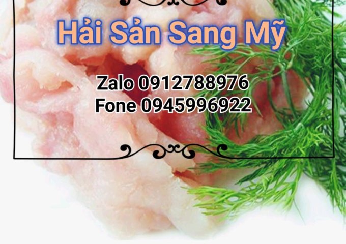 HẢI SẢN SANG MỸ – CHUYÊN KINH DOANH CHẢ CÁ THÁC LÁC, CÁ THÁC LÁC NGUYÊN CON TẠI CHỢ ĐẦU MỐI BÌNH ĐIỀN