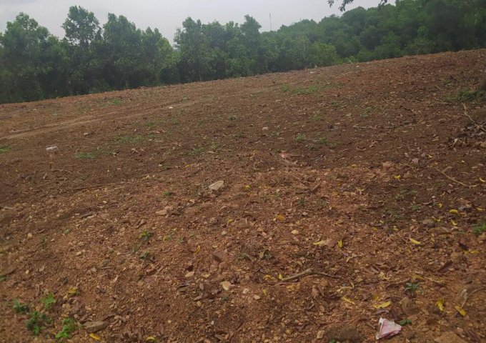 Chính chủ bán nhanh lô đất tại Cư Yên, Lương Sơn, DT: 3600m  giá 1,7 triệu/m