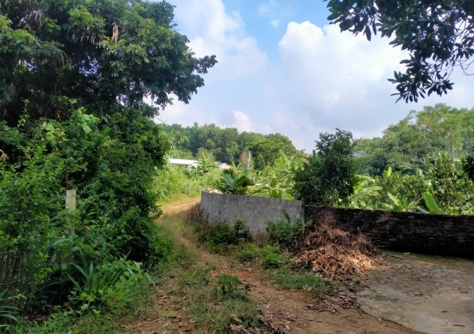 Bán đất nông trường sẵn nhà tại khu Đồng Dài, Đội 2, Xí nghiệp nông lâm nghiệp Sông Đà, Ba Vì, giá 1 tỷ. LH Thu Hương 0975349726