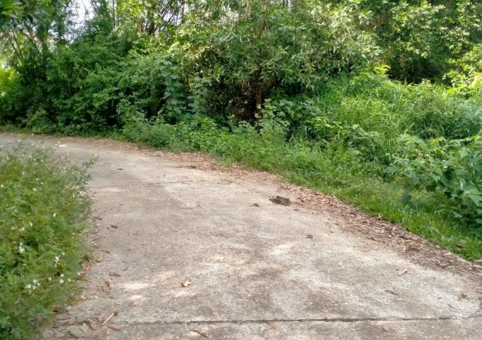 Bán đất nông trường sẵn nhà tại khu Đồng Dài, Đội 2, Xí nghiệp nông lâm nghiệp Sông Đà, Ba Vì, giá 1 tỷ. LH Thu Hương 0975349726