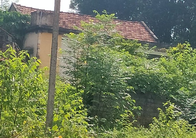 Bán đất nông trường sẵn nhà tại khu Đồng Dài, Đội 2, Xí nghiệp nông lâm nghiệp Sông Đà, Ba Vì, giá 1 tỷ. LH Thu Hương 0975349726