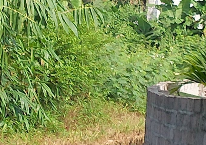 Bán đất nông trường sẵn nhà tại khu Đồng Dài, Đội 2, Xí nghiệp nông lâm nghiệp Sông Đà, Ba Vì, giá 1 tỷ. LH Thu Hương 0975349726