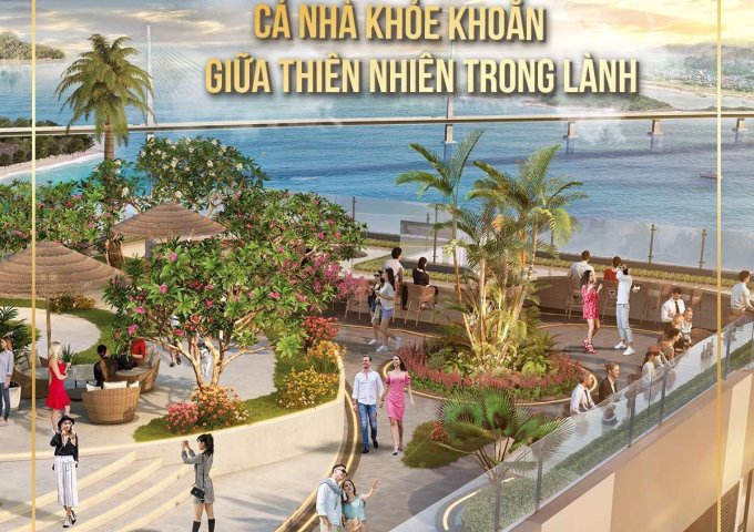 Chính chủ bán cắt lỗ căn hộ chung cư cao cấp dự án The Ruby Hạ Long nằm ngay mặt biển trung tâm Hòn Gai