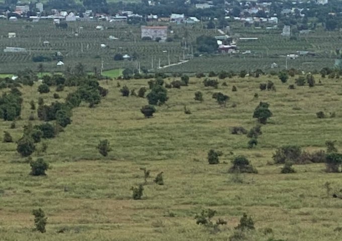 Bán lô đất xã Bình Tân 4144m2 giá bán 130 nghìn/m2 gần Safari 3300Ha, gần đường liên huyện