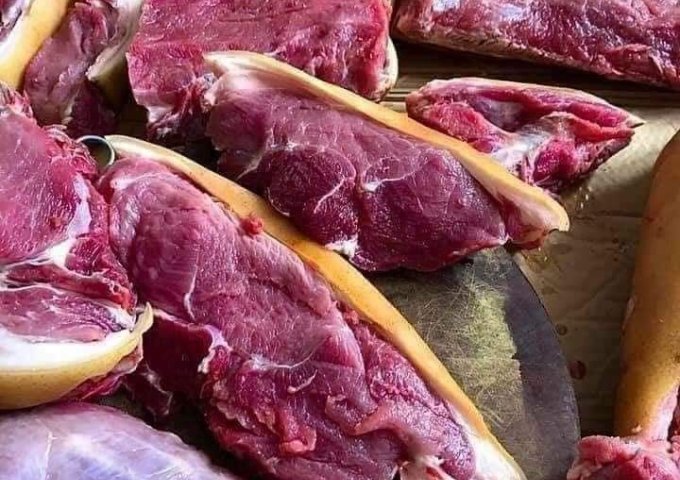 Thịt lợn rừng Nghệ An – Xin kính chào quý khách