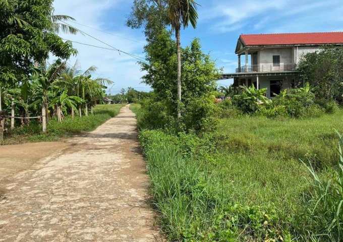 Chính chủ cần bán gấp lô góc hai mặt tiền thôn Phú Ngạn, cách đường 71 chỉ 100m. xã Thanh An, Cam Lộ, Quảng Trị.