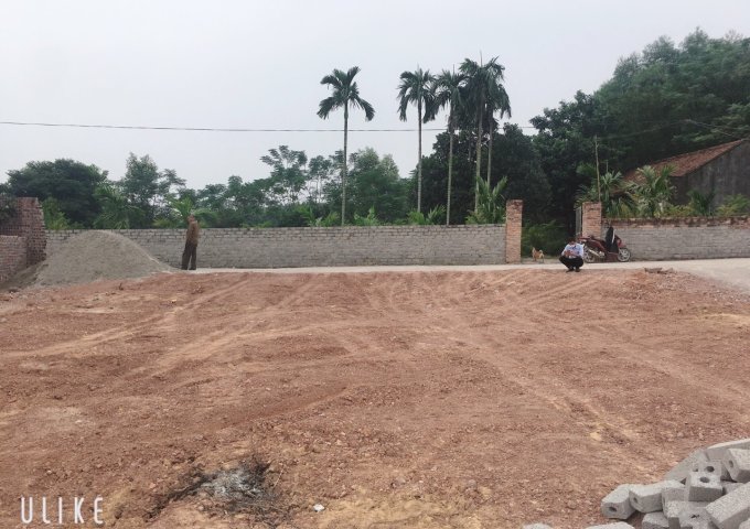 CẦN BÁN 3 LÔ LIỀN KỀ CỰC ĐẸP TẠI XÃ LÃO HỘ, HUYỆN YÊN DŨNG, BẮC GIANG