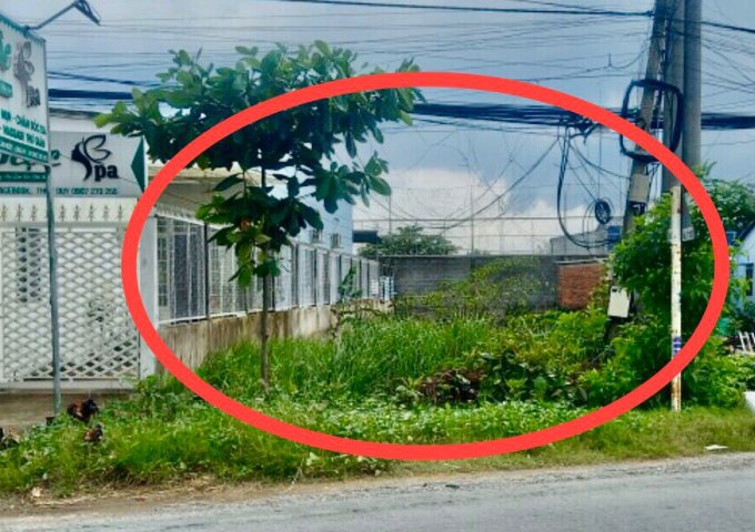 $ ĐẤT MT Đường Liên Ấp 234, Xã Tân Qúy Tây, H Bình Chánh, TPHCM,  124.9m2  chỉ 3.7 tỷ