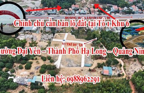 Chính chủ cần bán lô đất tại Tổ 1 Khu 6 - Phường Đại Yên - Thành Phố Hạ Long - Quảng Ninh.