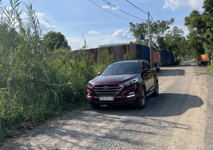 Bán lô đất vườn mặt tiền Kênh Trầm Lầy Đường Vườn Thơm, xã Bình Lợi, Huyện Bình Chánh