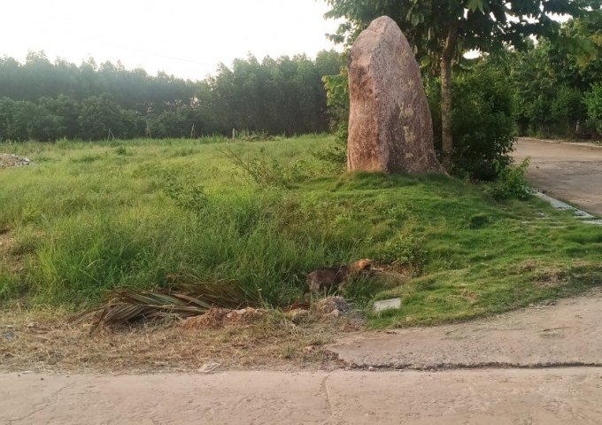 CẦN VỐN XOAY SỞ MÙA DỊCH E CẦN RA NHANH LÔ ĐẤT BAO ĐẸP