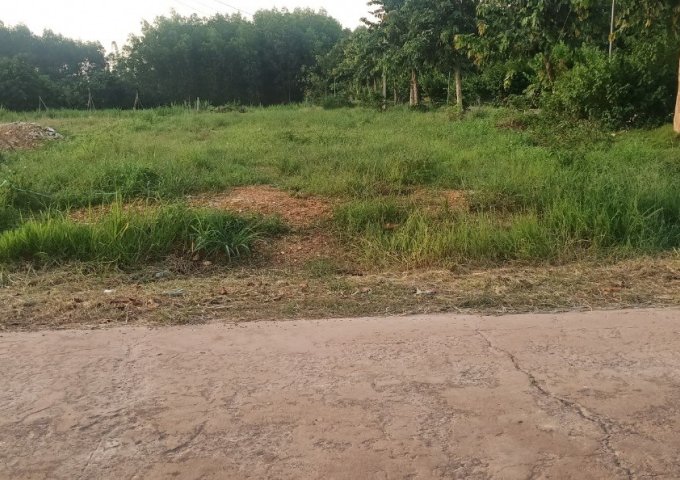 CẦN VỐN XOAY SỞ MÙA DỊCH E CẦN RA NHANH LÔ ĐẤT BAO ĐẸP