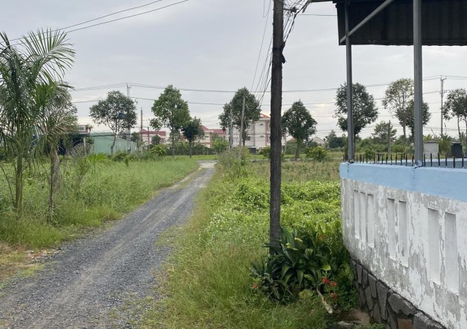  * ĐẤT VƯỜN ĐƯỜNG PHẠM VĂN NGÔ, PHƯỜNG TÂN KHÁNH, TÂN AN , LONG AN