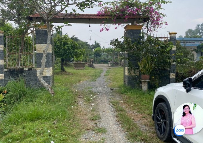  * ĐẤT VƯỜN ĐƯỜNG PHẠM VĂN NGÔ, PHƯỜNG TÂN KHÁNH, TÂN AN , LONG AN