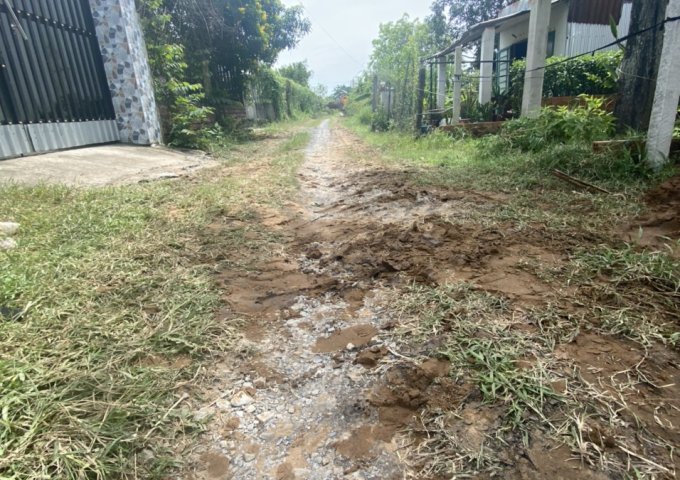 CHÍNH CHỦ BÁN ĐẤT TẠI ĐỨC LẬP THƯỢNG , ĐỨC HÒA, TỈNH LONG AN.