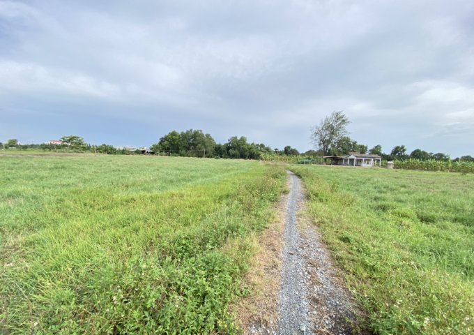 Bán đất mặt tiền đường Hưng Nhơn, Ấp 1, xã Tân Kiên, Huyện Bình Chánh 