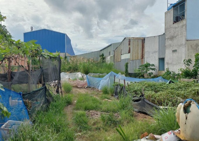 Bán lô đất CHÍNH CHỦ gửi gần Chợ Vĩnh Lộc B, Đường Liên Ấp 1A, Xã Vĩnh Lộc B, Huyện Bình Chánh