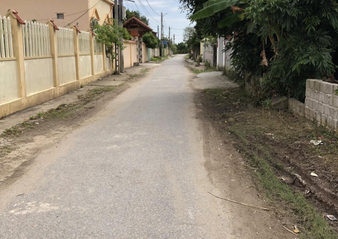 Tổ dân phố Biên Hòa, phường Bàng La, Đồ Sơn, Hải Phòng 128m