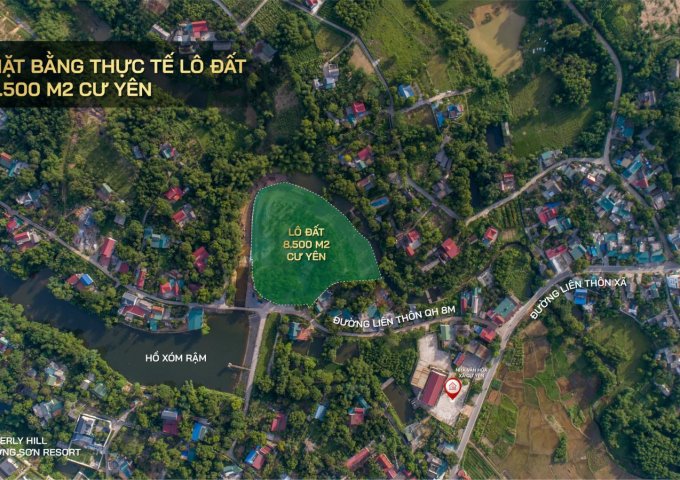 Bán 8500m2 nguyên quả đồi đất nền Cư Yên - Lương Sơn giáp ranh Hà Nội giá chỉ 4,1tr/m2