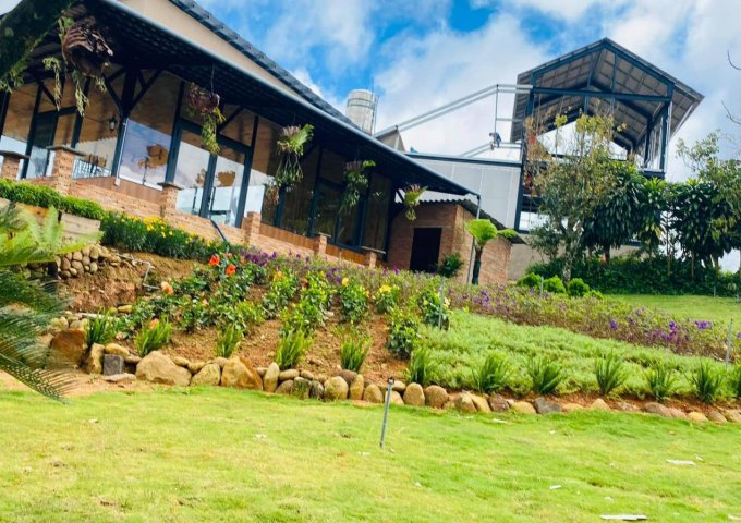 LÀNG BIỆT THỰ THE TROPICANA GARDEN BIỆT THỰ NGHỈ DƯỠNG