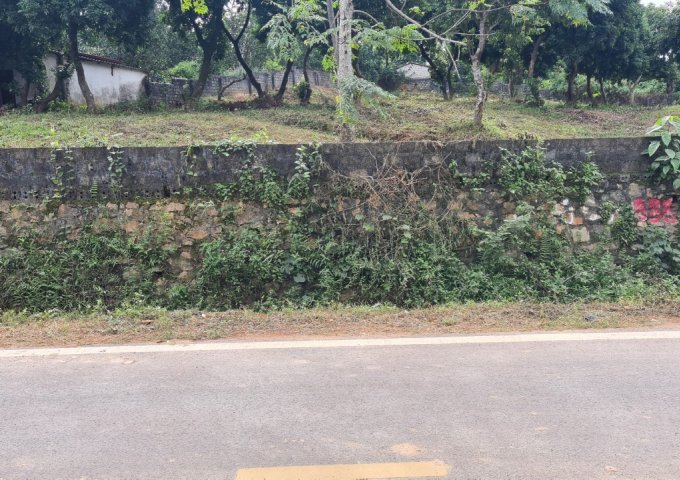 Bán đất tại Đường Liên Xã, Lương Sơn,  Hòa Bình diện tích 2355m2