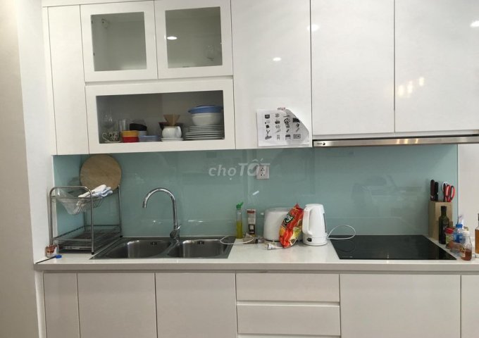 Chính chủ cần cho thuê căn P12 2 phòng ngủ, chung cư Vinhomes Times City - Park Hill, 458 Đường Minh Khai, Hai Bà Trưng, Hà Nội