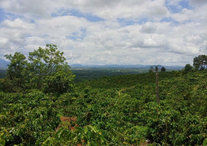 BÁN LÔ ĐẤT VIEW CAO DỐC 800 – TÂN VĂN – LÂM HÀ – LÂM ĐỒNG