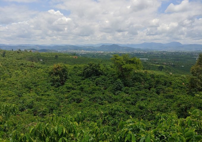 BÁN LÔ ĐẤT VIEW CAO DỐC 800 – TÂN VĂN – LÂM HÀ – LÂM ĐỒNG