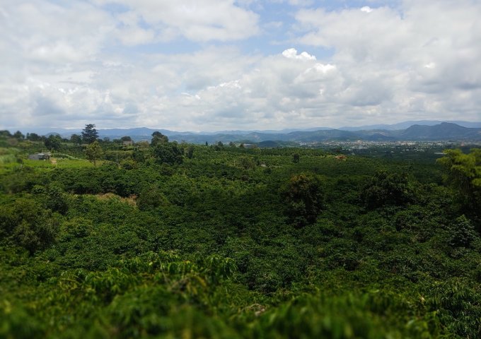 BÁN LÔ ĐẤT VIEW CAO DỐC 800 – TÂN VĂN – LÂM HÀ – LÂM ĐỒNG