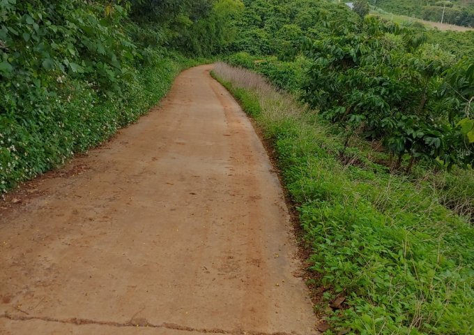 BÁN LÔ ĐẤT VIEW CAO DỐC 800 – TÂN VĂN – LÂM HÀ – LÂM ĐỒNG