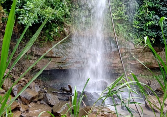 Bán 6.9ha đất có thác, suối tại Xã Tân Châu- Tân Thượng Huyện Di Linh, Lâm Đồng