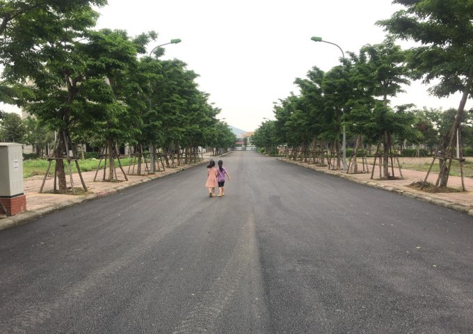 Dự án đất nền tự xây cuối cùng tai trung tâm thành phố Uông Bí giá chỉ từ 19,5 tr