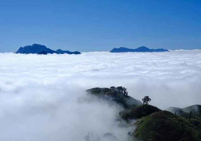 Siêu Phẩm Săn Mây, View Ruộng Bậc Thang Đẹp Nhất Nhì Y Tý - Sapa 2