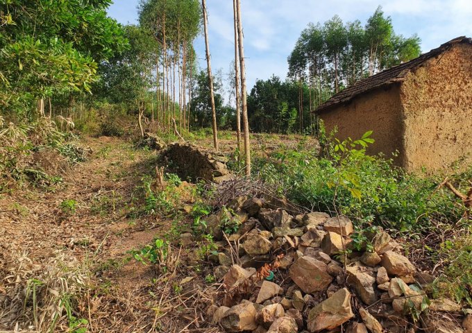 Bán đất nền, phân lô, đất vườn đồi sổ đỏ tại Đan Hội, Lục Nam, Bắc Giang giá từ 500k/m2