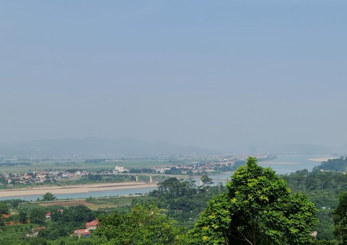 Chính chủ cần bán gấp lô đất tuyệt đẹp 2717m2, view toàn cảnh sông Đà tại thôn Liên Bu, Xã Minh Quang, Huyện Ba Vì, Thành Phố Hà Nội.